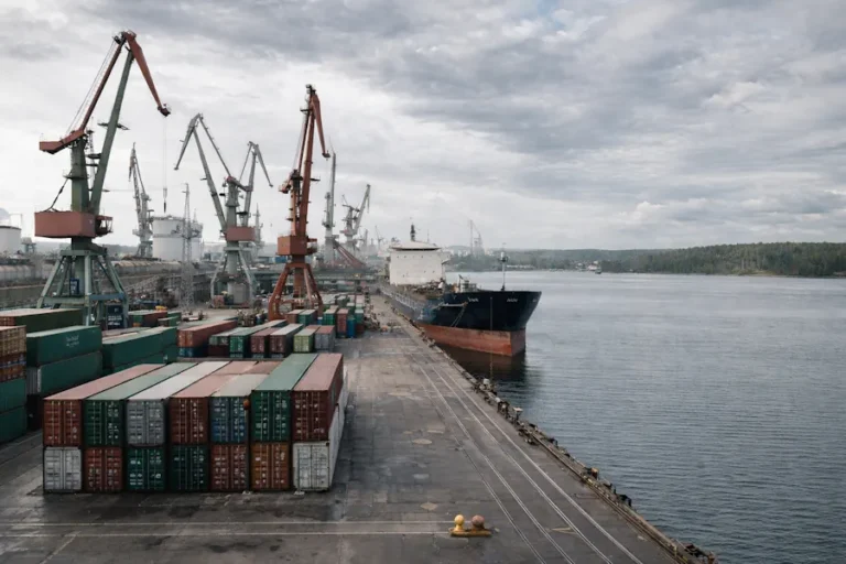 Морские контейнерные перевозки: как бизнесу обеспечить импорт грузов в Россию и экспорт