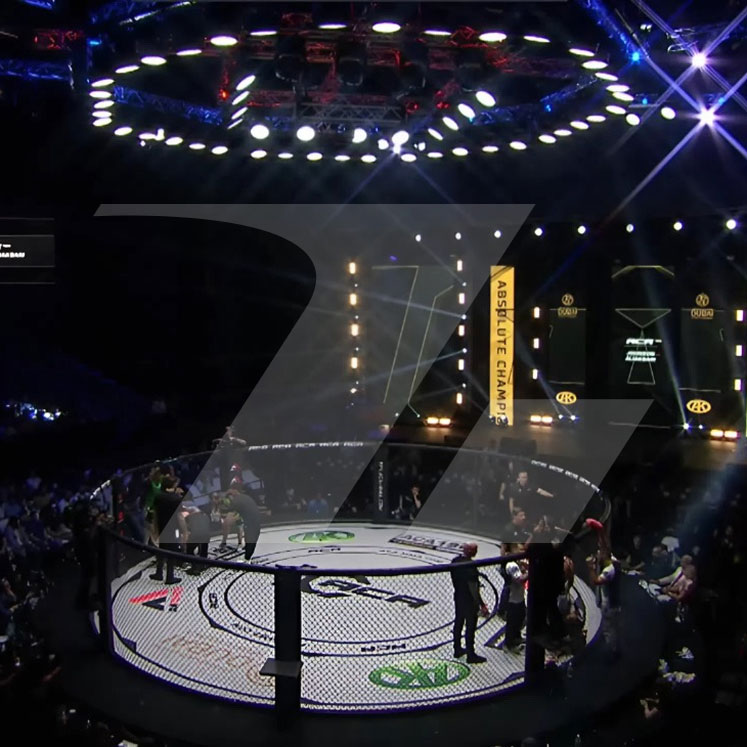 Авиаперевозка ринга для ММА из Москвы в Дубай к дате турнира