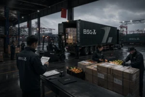 Импорт из Китая: перевозка, документы, сертификация и выпуск ДТ